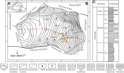 Differences in Imbibition Efficiency Between Bedding and Tectonic Fractures in the Lucaogou Formation in the Jimusar Sag: Evidence From Simulation Experiments
